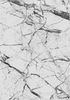 Bradford 2W 5' x 8'