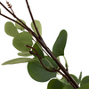 Eucalyptus Tree 4'