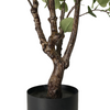 Eucalyptus Tree 4'