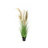 Grass & Natural Reeds 37"