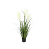 Grass & White Reeds 39"
