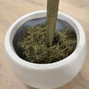 Green Moss Pot Fill