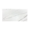Valencia Statuario Nuovo Honed 12" x 24"