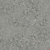 Odyssey Ultra EVP Terrazzo Trance 12" x 24"
